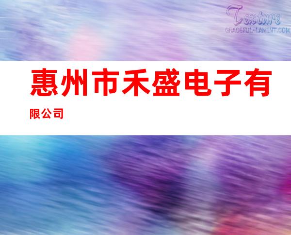 惠州市禾盛电子有限公司